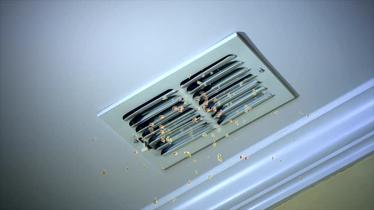 Air Duct Mold Removal in Rio Vista, CA